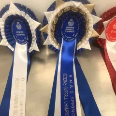 rosettes